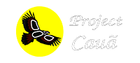 Project Cauã